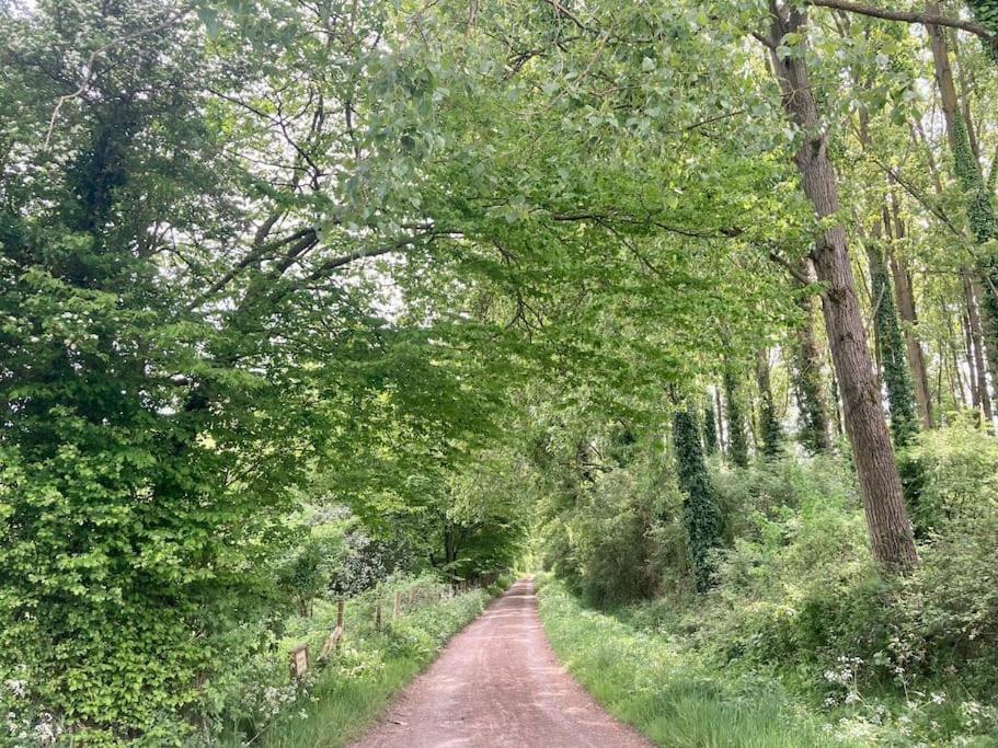 Au Bois D'Epenin - Gite Et Spa Beugin Buitenkant foto