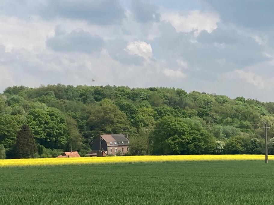 Au Bois D'Epenin - Gite Et Spa Beugin Buitenkant foto
